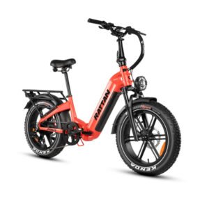 rattan-pinus-750w-48v-step-through-fat-tire-electric-bike