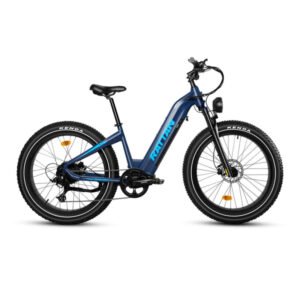 rattan-sequoia-fat-tire-750w-48v-electric-bike