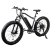 Revi Bikes Predator 500W 48V Fat Tire Mountain Electric Bike