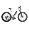 Revi Bikes Predator 500W 48V Fat Tire Mountain Electric Bike