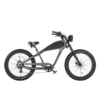 REVI Cheetah 48V 13Ah/17.5Ah 750W Electric Bike