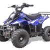 Rex Kids Gas ATV, 110cc 4-Stroke, Ages 4-9 - Black