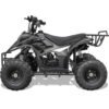 Rex Kids Gas ATV, 110cc 4-Stroke, Ages 4-9 - Black