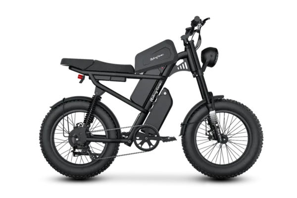 Riding Times Z8 Pro 48V/31.2Ah 1500W Electric Bike