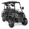 Rover 200 Gas Golf Cart, Electronic Fuel Injection, Automatic with Reverse, Deluxe Alloy Wheels, Windshield Included - Grey