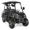 Rover 200 Gas Golf Cart, Electronic Fuel Injection, Automatic with Reverse, Deluxe Alloy Wheels, Windshield Included - Grey