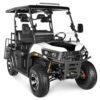 Rover 300 Gas Golf Cart, Electronic Fuel Injection, Automatic with Reverse, Deluxe Alloy Wheels, Windshield Included - Blue