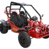 Sahara 150cc Buggy Go Kart, Electric Start, Automatic with Reverse, Ages 16 and up - Black