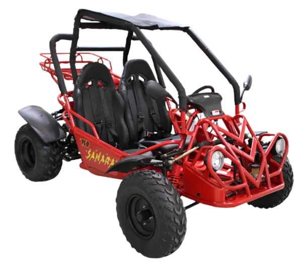Sahara 150cc Buggy Go Kart, Electric Start, Automatic with Reverse, Ages 16 and up - Black