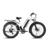 Senada Herald 1000W 48V 15Ah All Terrain Fat Tire Electric Mountain Bike
