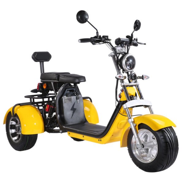 Shansu CP-3 60V/40Ah 2000W Electric Trike Scooter