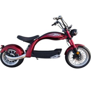 soversky-m5-60v-20ah-2000w-electric-scooter
