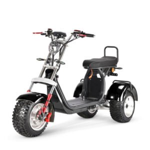 soversky-t7-4-60v-40ah-4000w-electric-swing-trike