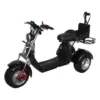 SoverSky T7.4 Golf 60V/40Ah 4000W Electric Swing Trike