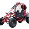 Spider 200 Buggy Go Kart, Electric Start, Automatic with Reverse, 10-inch Steel Wheels, Ages 16 and up - Red