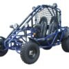Spider 200 Buggy Go Kart, Electric Start, Automatic with Reverse, 10-inch Steel Wheels, Ages 16 and up - Red