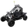 Spider 200 Buggy Go Kart, Electric Start, Automatic with Reverse, 10-inch Steel Wheels, Ages 16 and up - Red