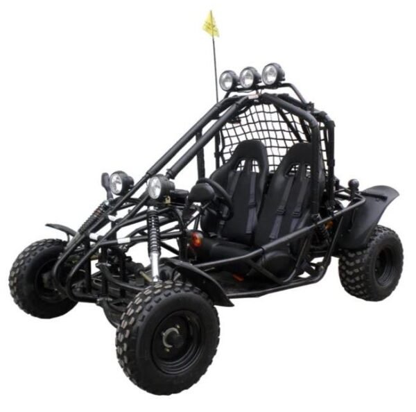 Spider 200 Buggy Go Kart, Electric Start, Automatic with Reverse, 10-inch Steel Wheels, Ages 16 and up - Red