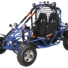 Spider 200 DLX Buggy Go Kart, Electric Start, Automatic with Reverse, 10-inch Alloy Wheels, Ages 16 and up - Blue