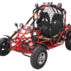 Spider 200 DLX Buggy Go Kart, Electric Start, Automatic with Reverse, 10-inch Alloy Wheels, Ages 16 and up - Blue
