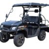 SSV 200 EFI Gas Golf Cart, Automatic with Reverse, Deluxe Alloy Wheels, Fully Assembled - Black