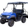 SSV 200 EFI Gas Golf Cart, Automatic with Reverse, Deluxe Alloy Wheels, Fully Assembled - Black