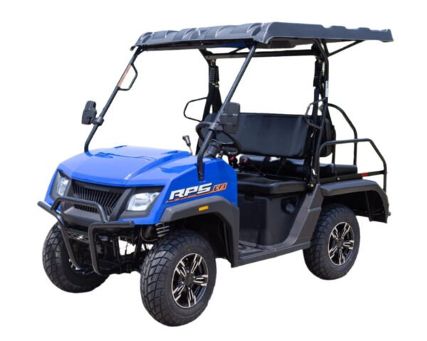 SSV 200 EFI Gas Golf Cart, Automatic with Reverse, Deluxe Alloy Wheels, Fully Assembled - Black
