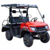 SSV 200 EFI Gas Golf Cart, Automatic with Reverse, Deluxe Alloy Wheels, Fully Assembled - Black