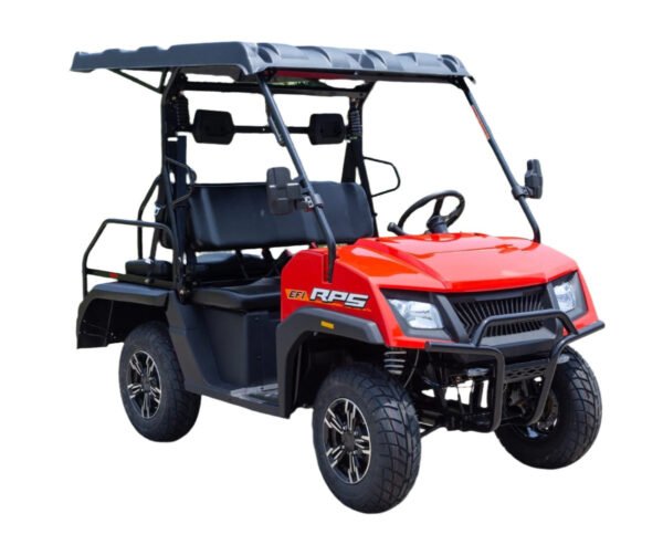 SSV 200 EFI Gas Golf Cart, Automatic with Reverse, Deluxe Alloy Wheels, Fully Assembled - Black