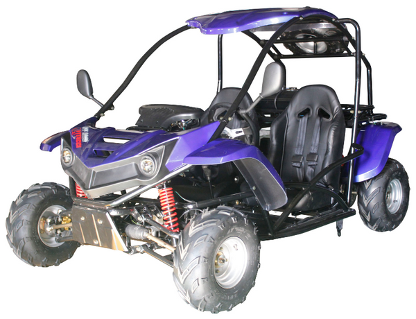 T-REX 125cc Kids Gas Powered Go Kart, Electric Start, Automatic with Reverse, Ages 8 and up - Blue