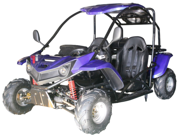 T-REX 125cc Kids Gas Powered Go Kart, Electric Start, Automatic with Reverse, Ages 8 and up - Blue