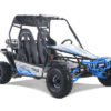 Tao Baja Sport 200 Adult Buggy Go Kart, Electric Start, Automatic with Reverse, LED Lightbar, Ages 16 and up - Blue