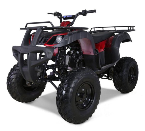 Tao Bull 150cc Utility ATV, Electric Start, Automatic with Reverse, 10-inch Wheels - Blue