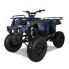 Tao Bull 150cc Utility ATV, Electric Start, Automatic with Reverse, 10-inch Wheels - Blue