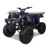 Tao Bull 150cc Utility ATV, Electric Start, Automatic with Reverse, 10-inch Wheels - Blue