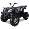 Tao Bull 200cc Utility ATV, Electric Start, Automatic with Reverse, 10-inch Wheels - Red