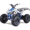 Tao Cheetah 125cc Sport ATV, Electric Start, Automatic with Reverse, Ages 12 and up - Orange