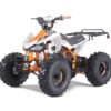 Tao Cheetah 125cc Sport ATV, Electric Start, Automatic with Reverse, Ages 12 and up - Orange