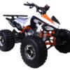 Tao Cheetah Deluxe 125cc Sport ATV, Electric Start, Automatic with Reverse, Ages 12 and up - Orange