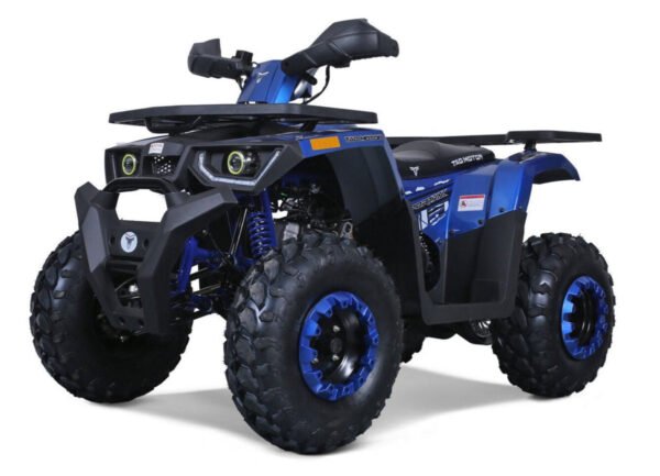 Tao G200 200cc Utility Style ATV, Electric Start, Automatic with Reverse, 10-inch Wheels - Blue
