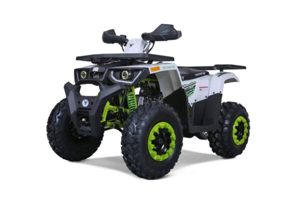 Tao G200 200cc Utility Style ATV, Electric Start, Automatic with Reverse, 10-inch Wheels - Blue
