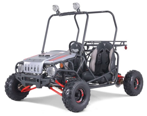 Tao Mojave 110cc Kids Gas Go Kart, Electric Start, Automatic with Reverse, Ages 8 and up - Blue