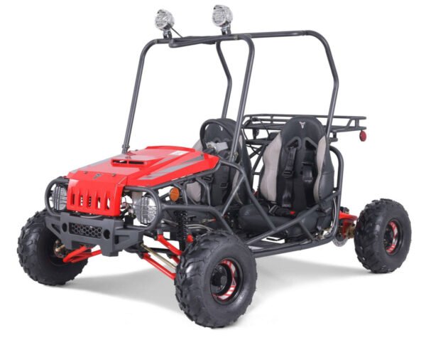 Tao Mojave 110cc Kids Gas Go Kart, Electric Start, Automatic with Reverse, Ages 8 and up - Blue