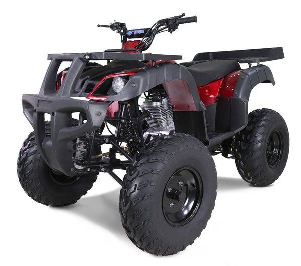 Tao Rhino 250cc Utility ATV, Electric Start, Manual 4-Speed with Reverse - Burgundy