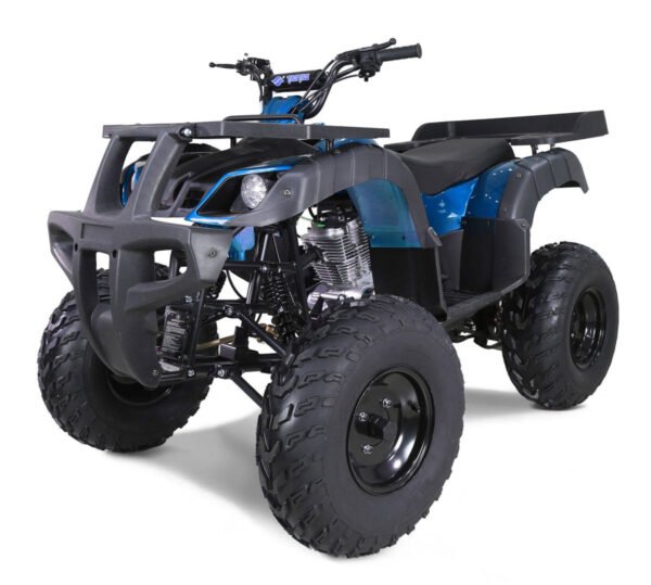 Tao Rhino 250cc Utility ATV, Electric Start, Manual 4-Speed with Reverse - Burgundy