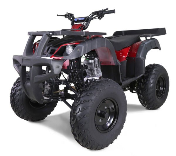 Tao Rhino 250cc Utility ATV, Electric Start, Manual 4-Speed with Reverse - Burgundy