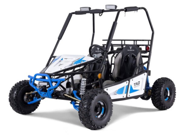 Tao Triton 125cc Kids Gas Go Kart, Electric Start, Automatic with Reverse, Ages 8 and up - Blue