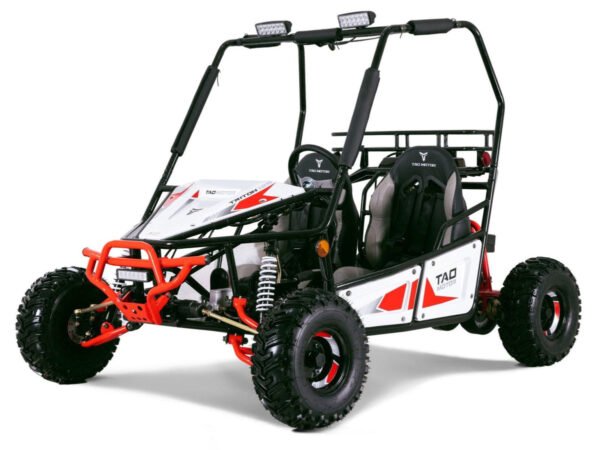 Tao Triton 125cc Kids Gas Go Kart, Electric Start, Automatic with Reverse, Ages 8 and up - Blue