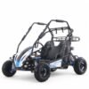 Taomotor Baja Sprinter 200 Go-Kart