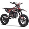 Thunder Kids Gas Dirt Bike, 50cc 2-Stroke, Ages 8 and up - Green